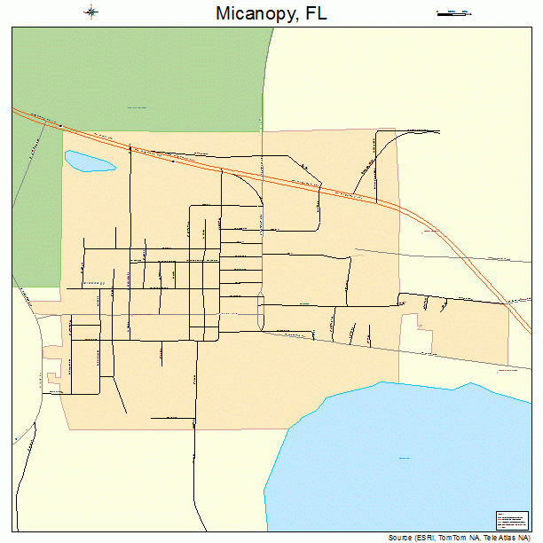Micanopy, FL street map