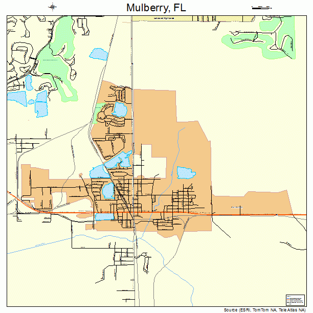 Mulberry, FL street map