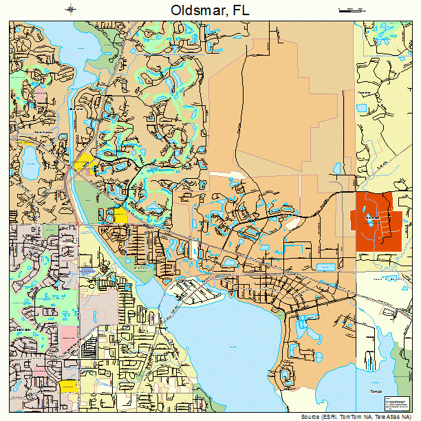 Oldsmar, FL street map