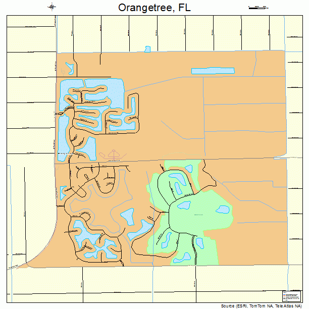 Orangetree, FL street map