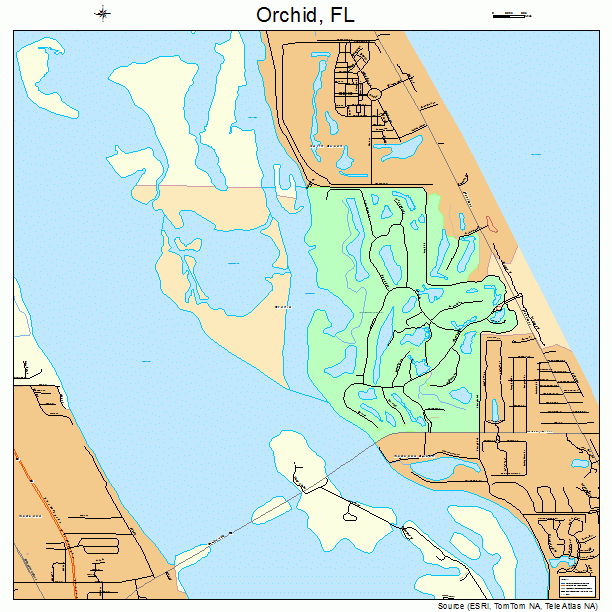 Orchid, FL street map