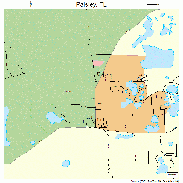 Paisley, FL street map