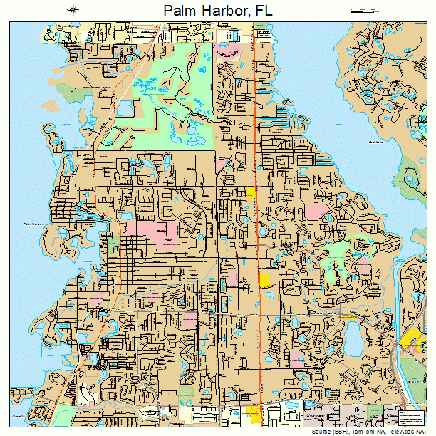 Palm Harbor, FL street map