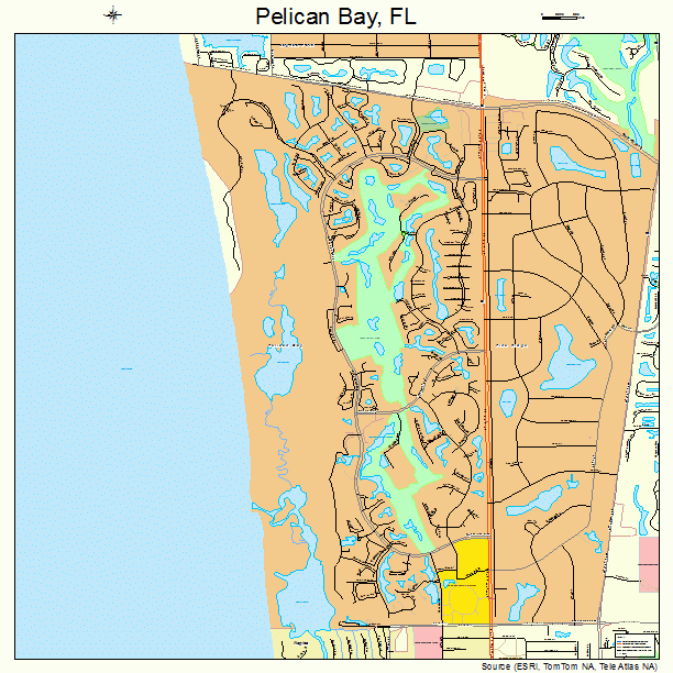 Pelican Bay, FL street map