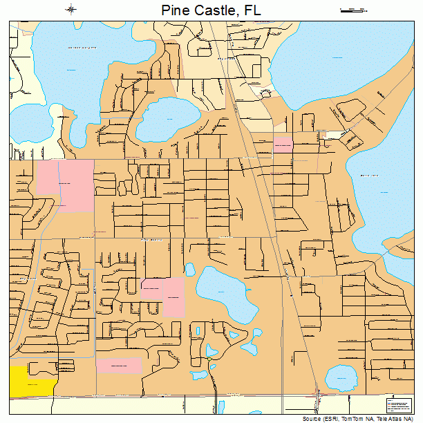 Pine Castle, FL street map