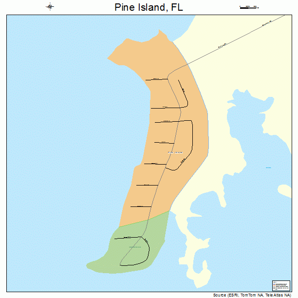 Pine Island, FL street map