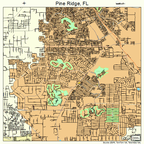 Pine Ridge, FL street map