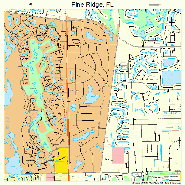 Pine Ridge, FL street map