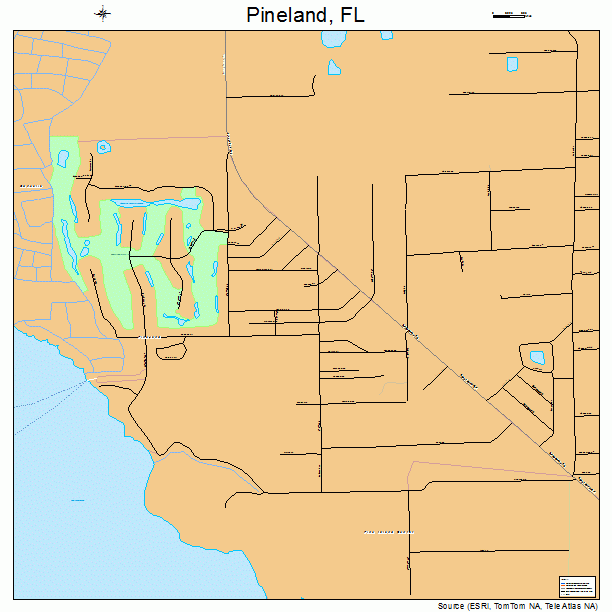 Pineland, FL street map