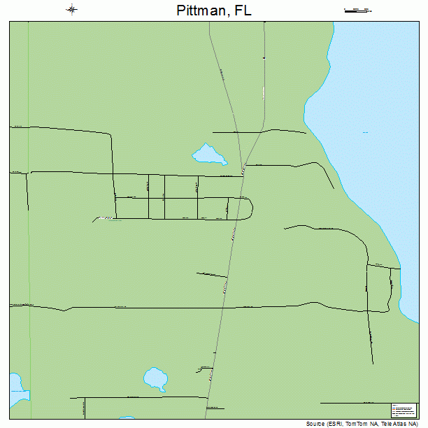 Pittman, FL street map