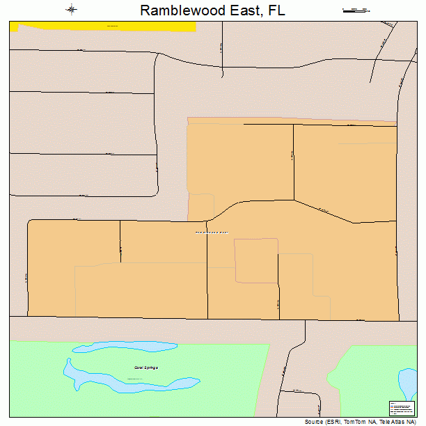 Ramblewood East, FL street map