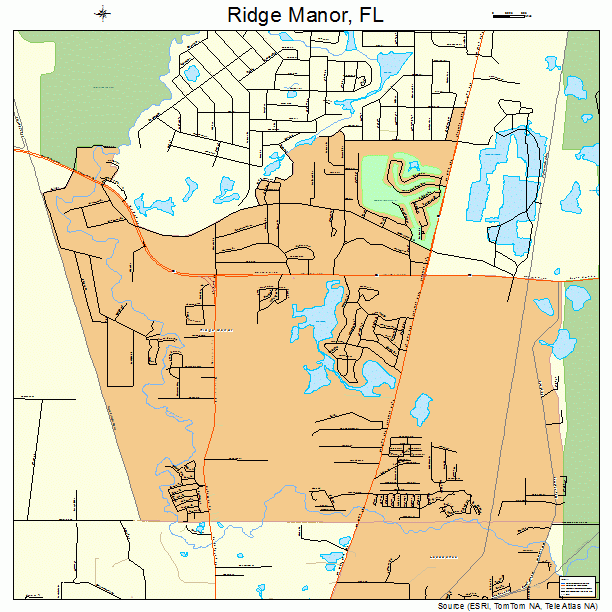 Ridge Manor, FL street map