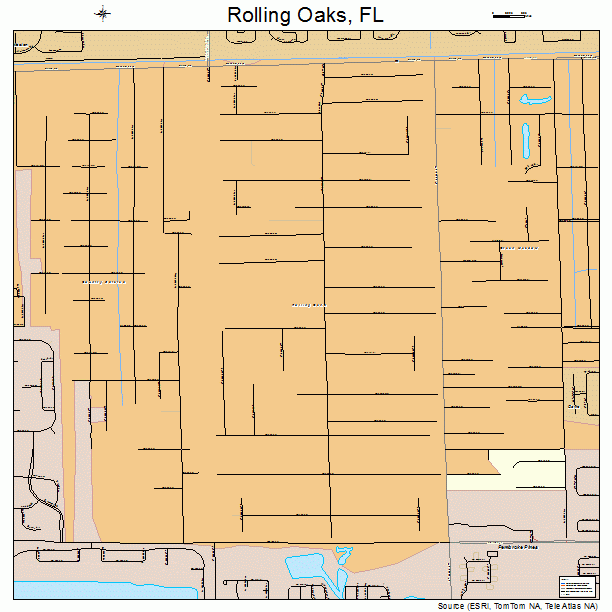 Rolling Oaks, FL street map