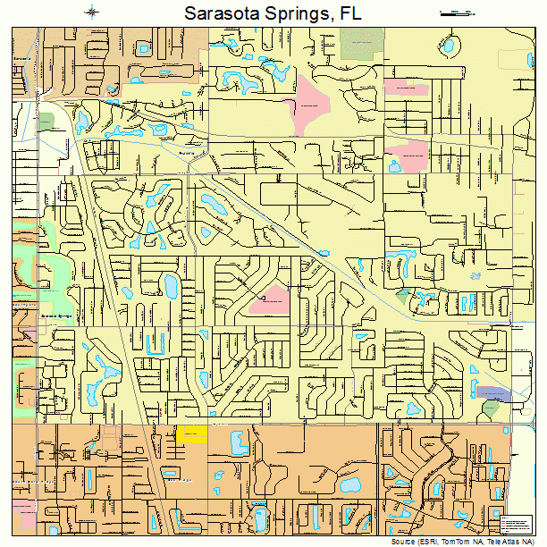 Sarasota Springs, FL street map