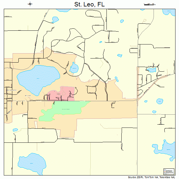 St. Leo, FL street map