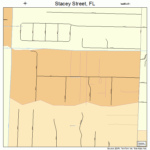 Stacey Street, FL street map