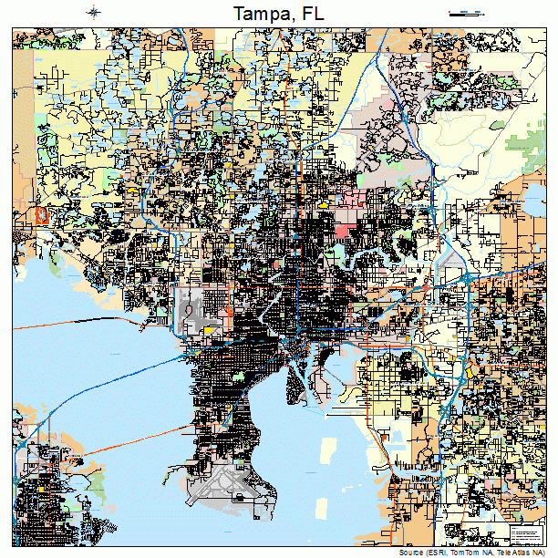 Tampa, FL street map