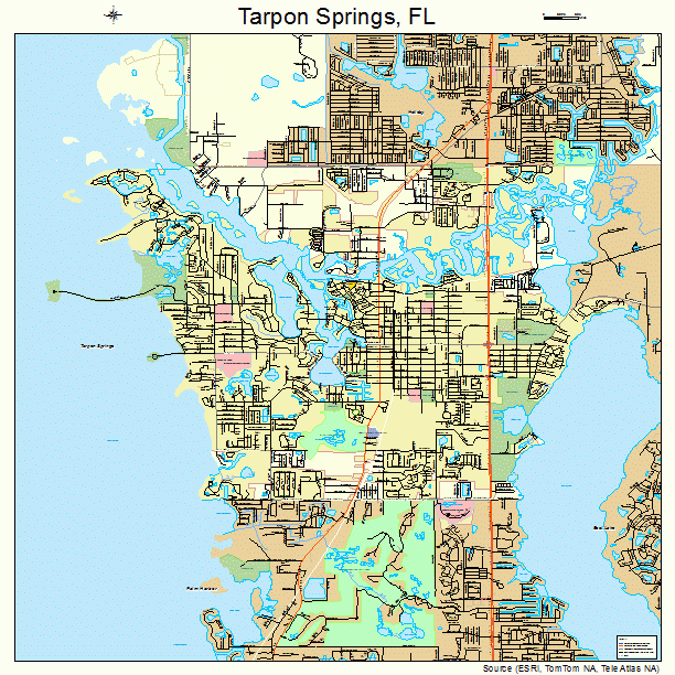 Tarpon Springs, FL street map