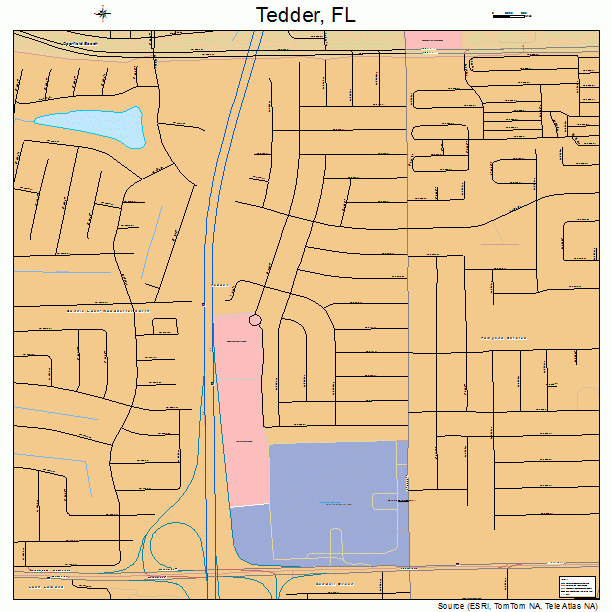 Tedder, FL street map