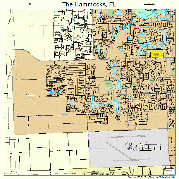 The Hammocks, FL street map