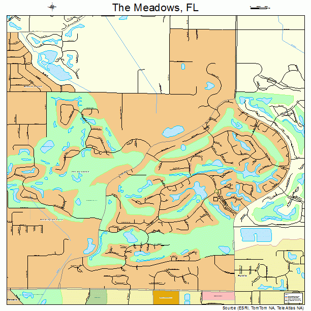 The Meadows, FL street map
