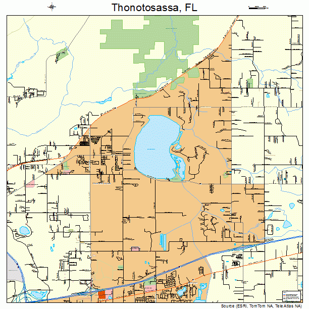 Thonotosassa, FL street map