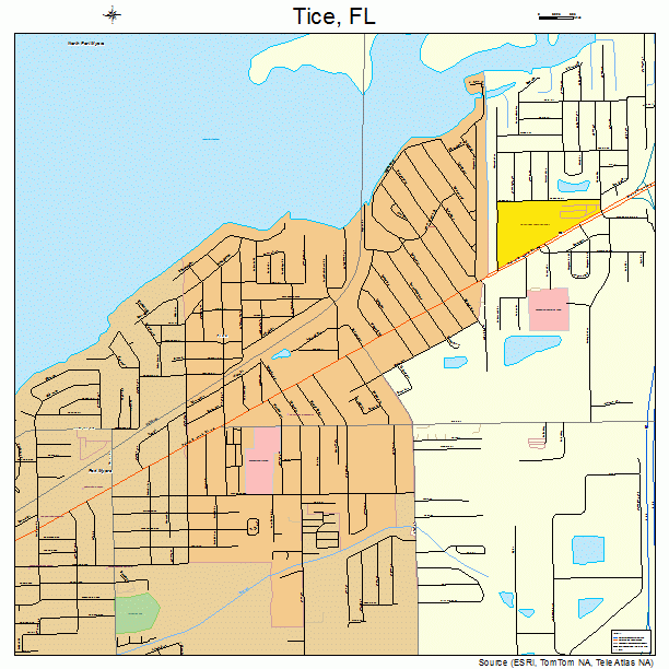 Tice, FL street map