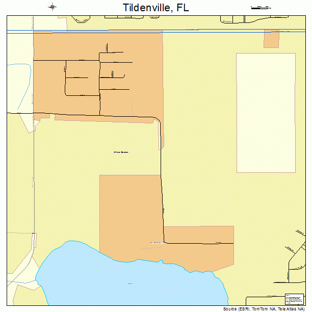 Tildenville, FL street map