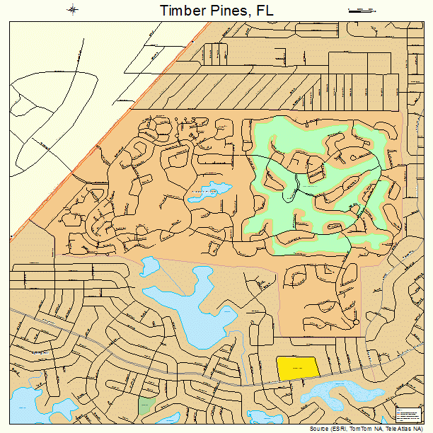 Timber Pines, FL street map
