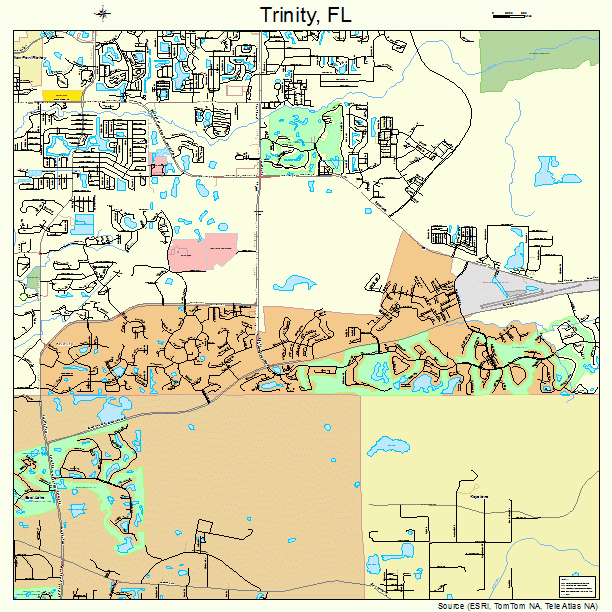 Trinity, FL street map