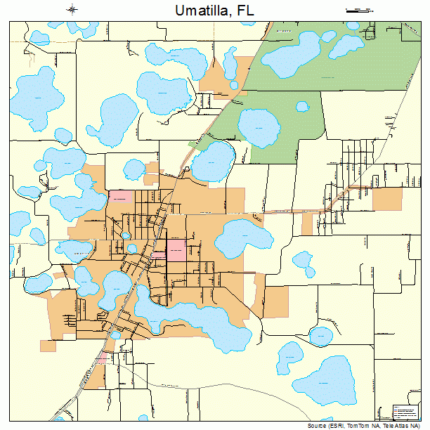 Umatilla, FL street map