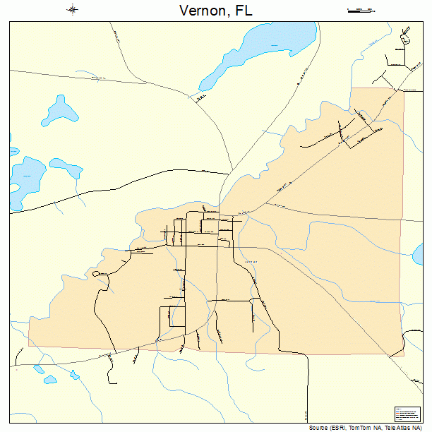 Vernon, FL street map