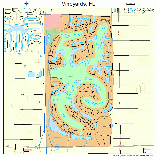 Vineyards, FL street map