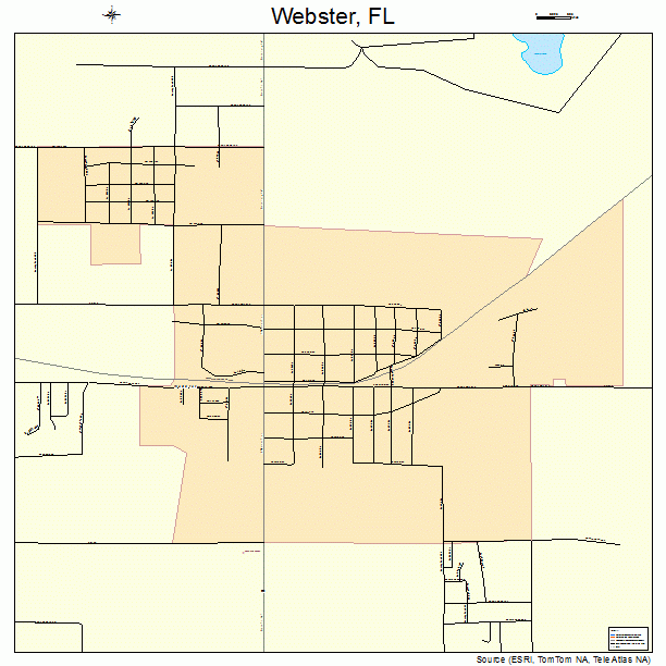 Webster, FL street map