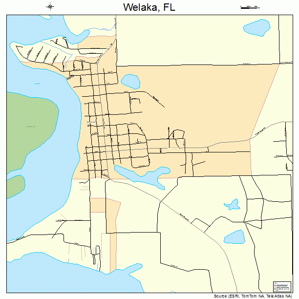 Welaka, FL street map