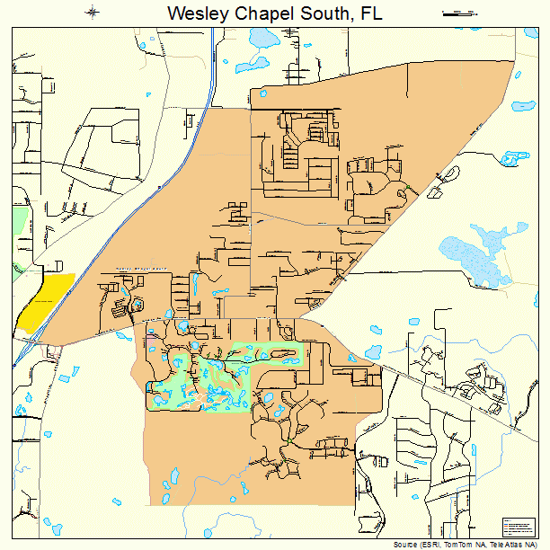 Wesley Chapel South Florida Street Map 1275887