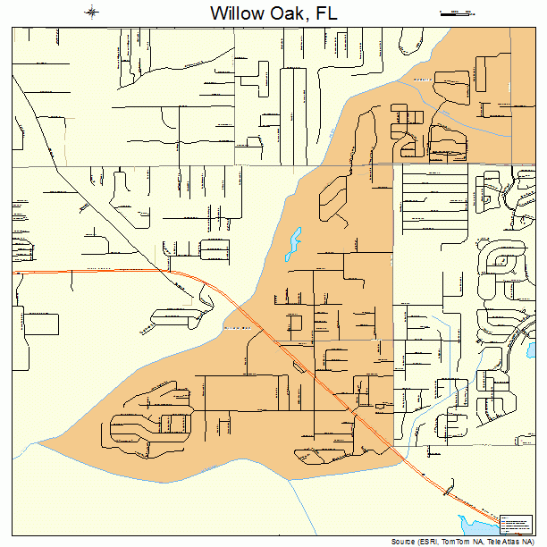 Willow Oak, FL street map