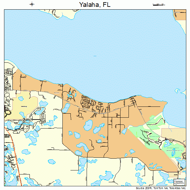 Yalaha, FL street map