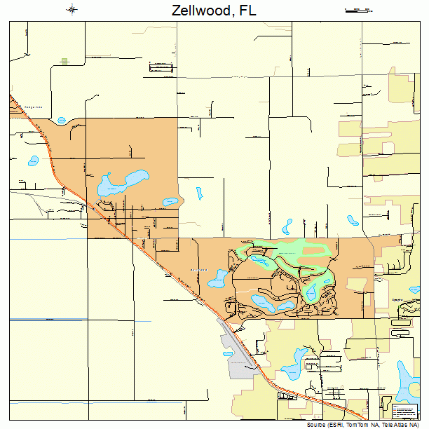 Zellwood, FL street map