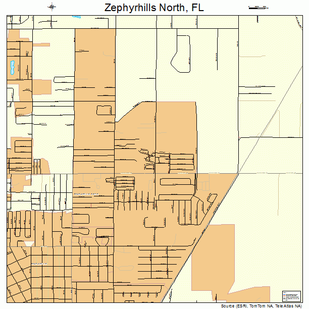 Zephyrhills North, FL street map