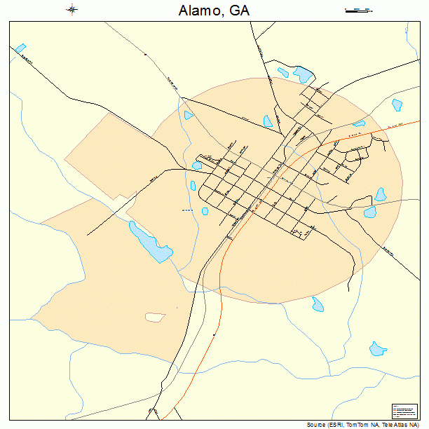 Alamo, GA street map