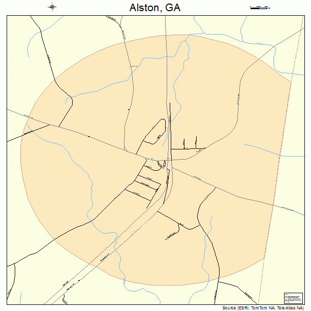 Alston, GA street map