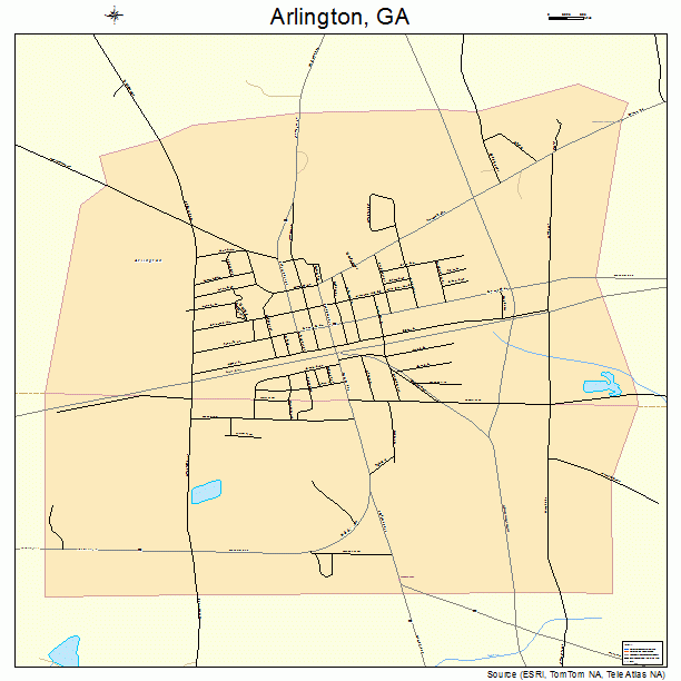Arlington, GA street map