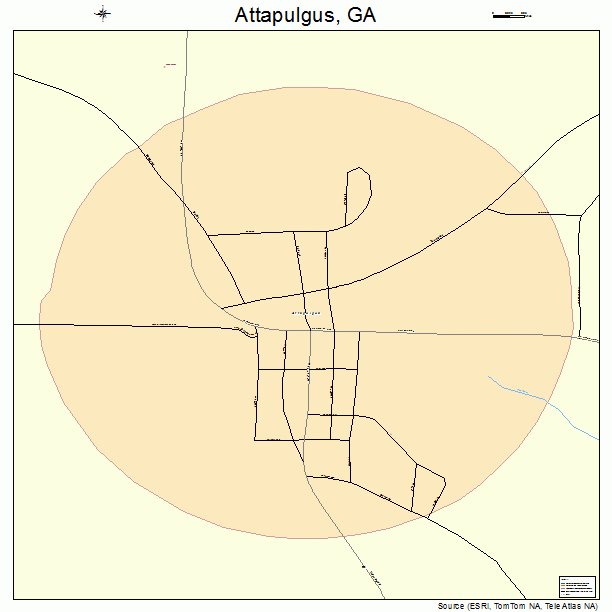 Attapulgus, GA street map