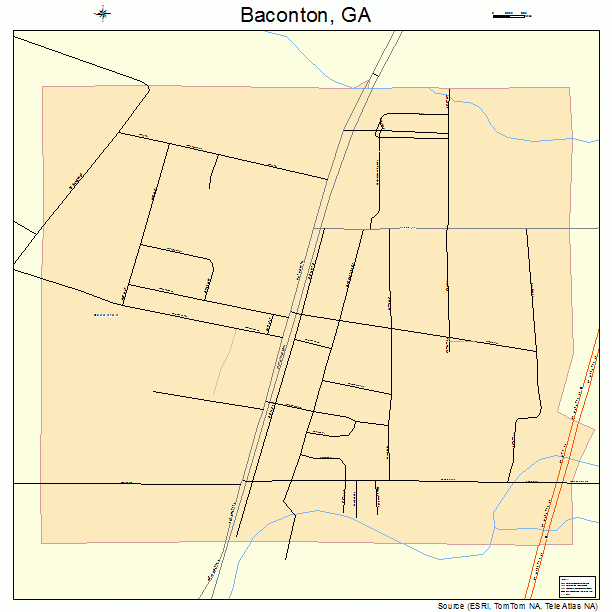 Baconton, GA street map