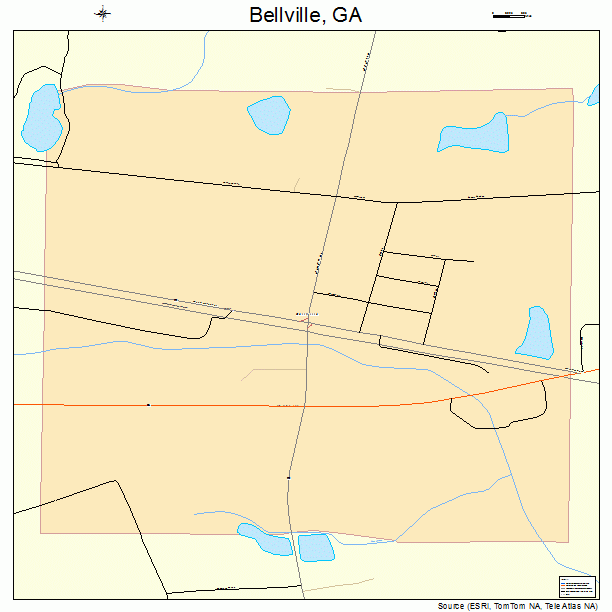 Bellville, GA street map