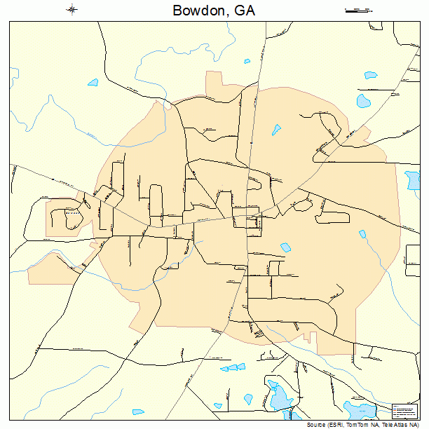 Bowdon, GA street map
