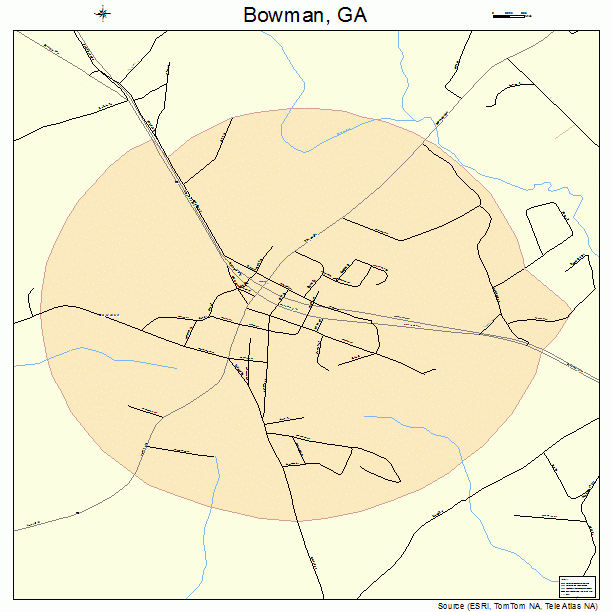 Bowman Georgia Street Map 1309712