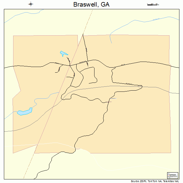Braswell, GA street map