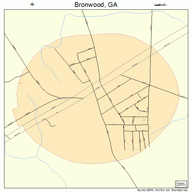 Bronwood, GA street map